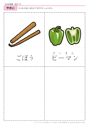 果物・野菜　絵カード -13