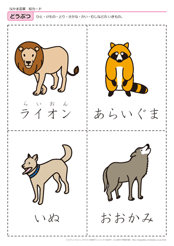 動物　絵カード -1