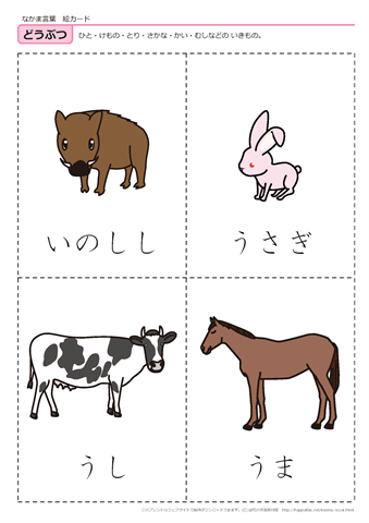 動物　絵カード -2