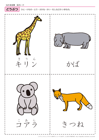 動物　絵カード -5