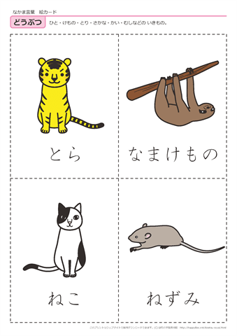 動物　絵カード -6