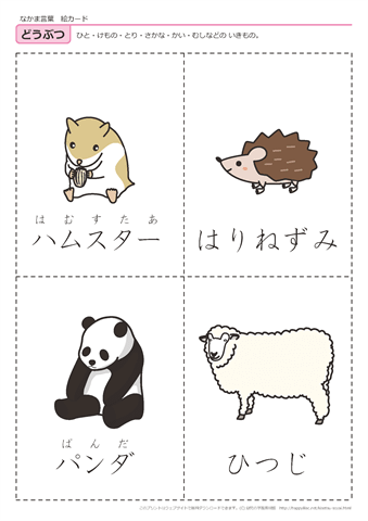 動物　絵カード -7