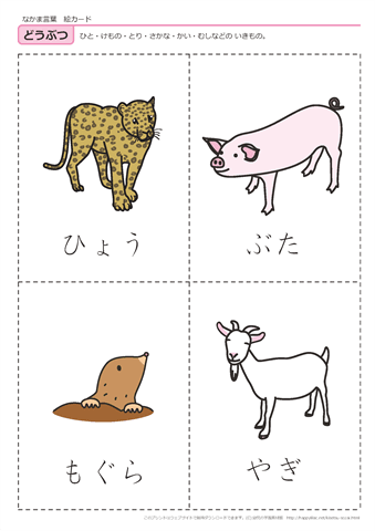 動物　絵カード -8