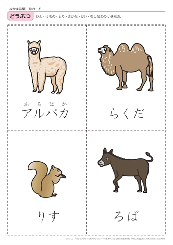 動物　絵カード -9