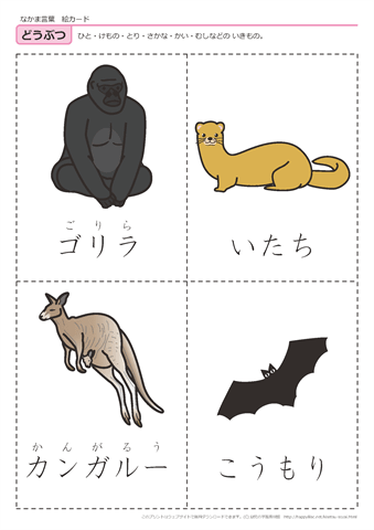 動物　絵カード -10