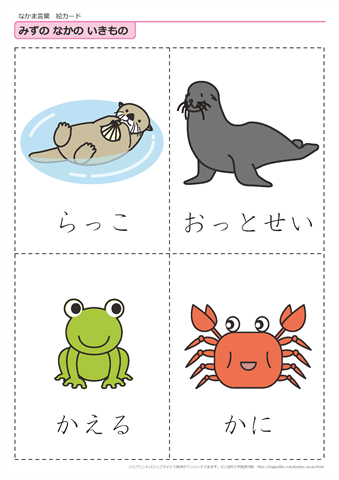 水中の生き物　絵カード -2