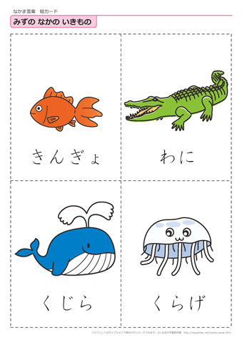 水中の生き物　絵カード -3