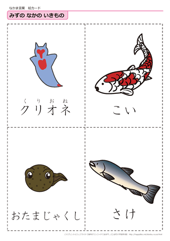 水中の生き物　絵カード -4