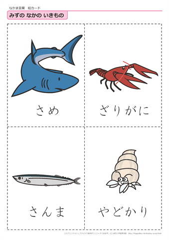 水中の生き物　絵カード -5