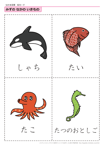 水中の生き物　絵カード -6