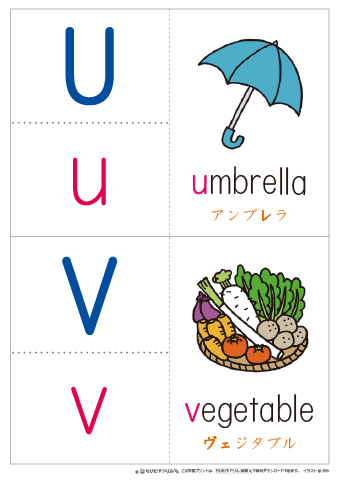 アルファベット「U・V」