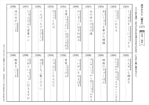 【書き取り】漢字テスト /中学・高校 （17）