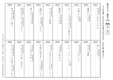 【書き取り】漢字テスト /中学・高校 （43）