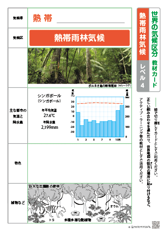 世界の気候区分 教材カード【レベル４】－熱帯雨林気候