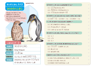 水族館の生きものクイズ＜オウサマペンギン＞