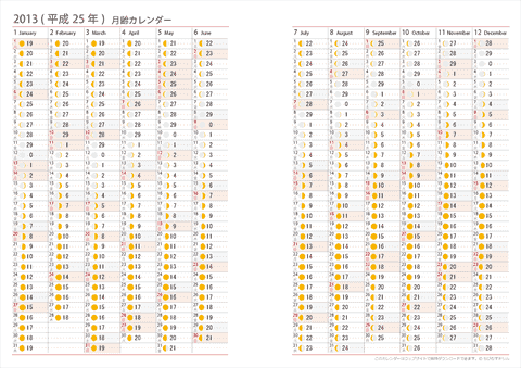 ★リフィル用 【Ａ４サイズ・１枚版】　2013年　月齢カレンダー